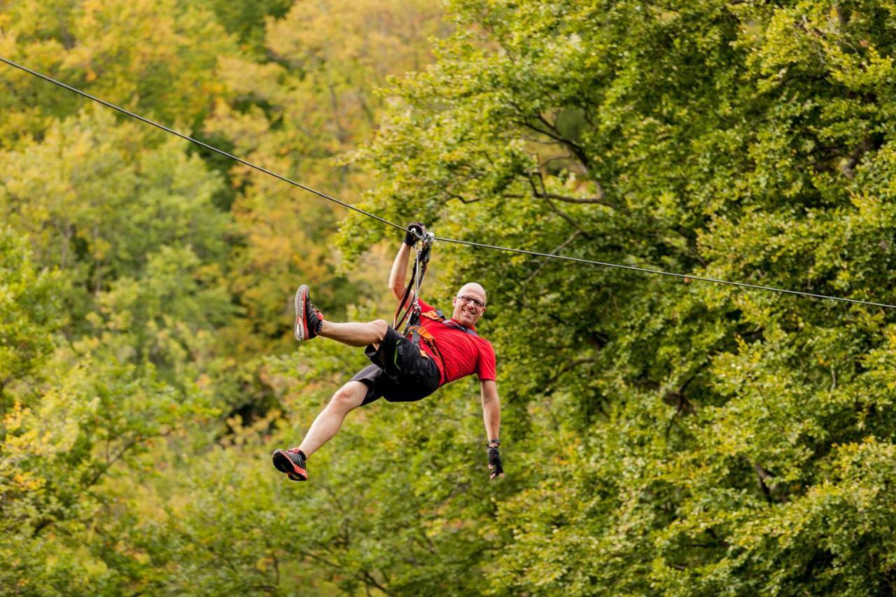 Appartementhaus Eifeladventures Berlingen Eksteriør billede